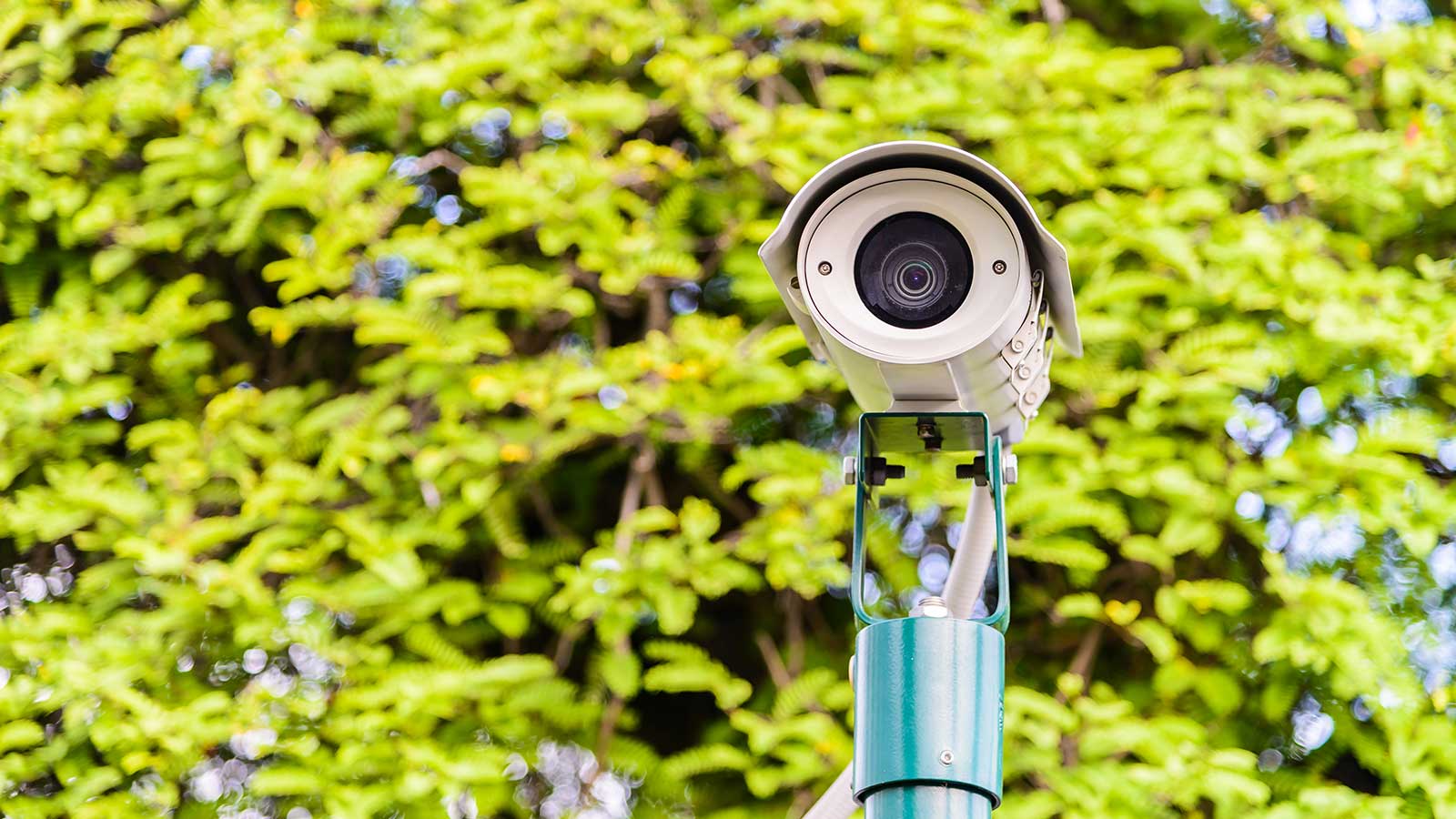 CCTV & Security Systems